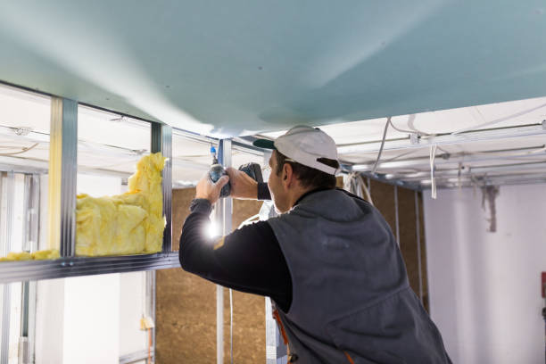 Best Insulation Installation Services in The Galena Territory, IL