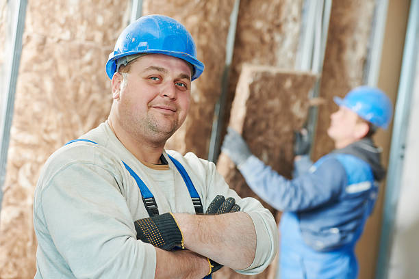 Best Commercial Insulation in The Galena Territory, IL