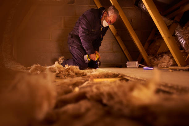 Best Types of Insulation in The Galena Territory, IL